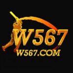 W567 Game