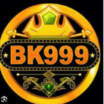 BK999.com